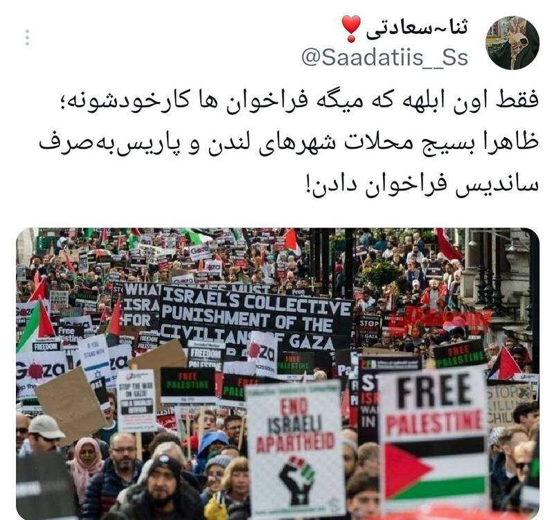 واکنشها به تشکیل بسیج در لندن و فرانسه