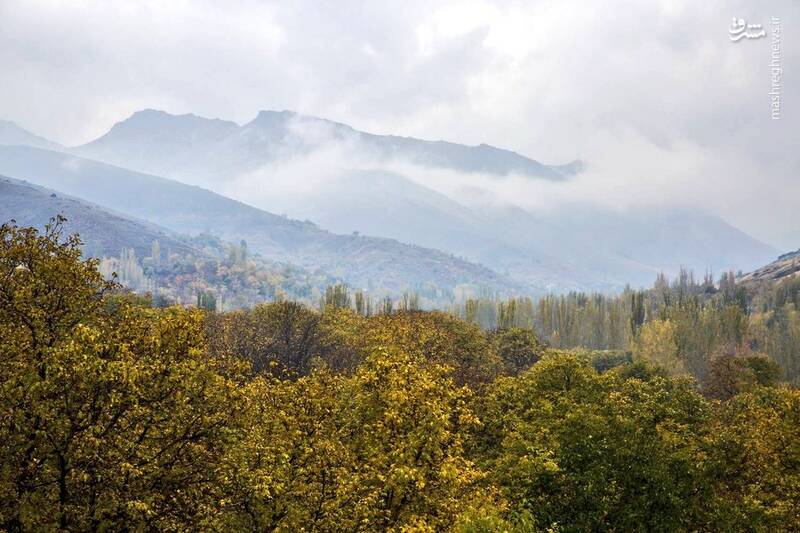 جلوهنمایی پاییز در دامنه کوهستان الوند