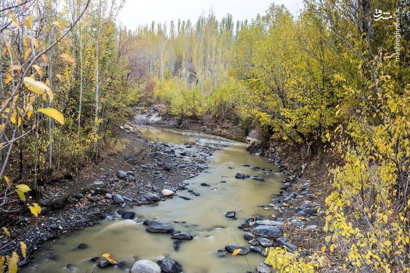 جلوهنمایی پاییز در دامنه کوهستان الوند