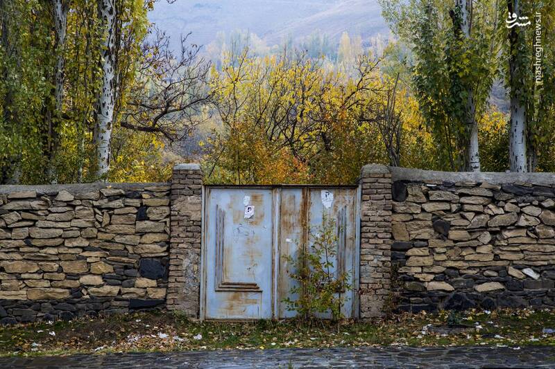 جلوهنمایی پاییز در دامنه کوهستان الوند