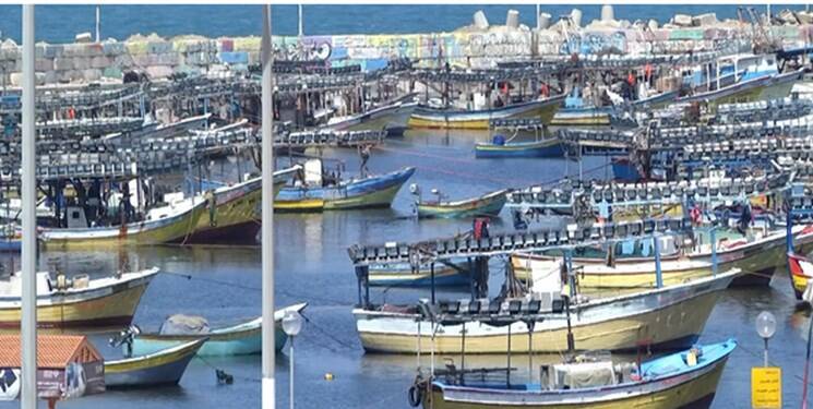 هشدار در غزه با نابودی ۲۵ هزار هکتار زمین کشاورزی