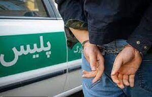 دستگیری عامل همکاری با رسانه‌های معاند در بویین زهرا