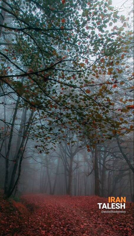 طبیعت رویایی تالش +عکس