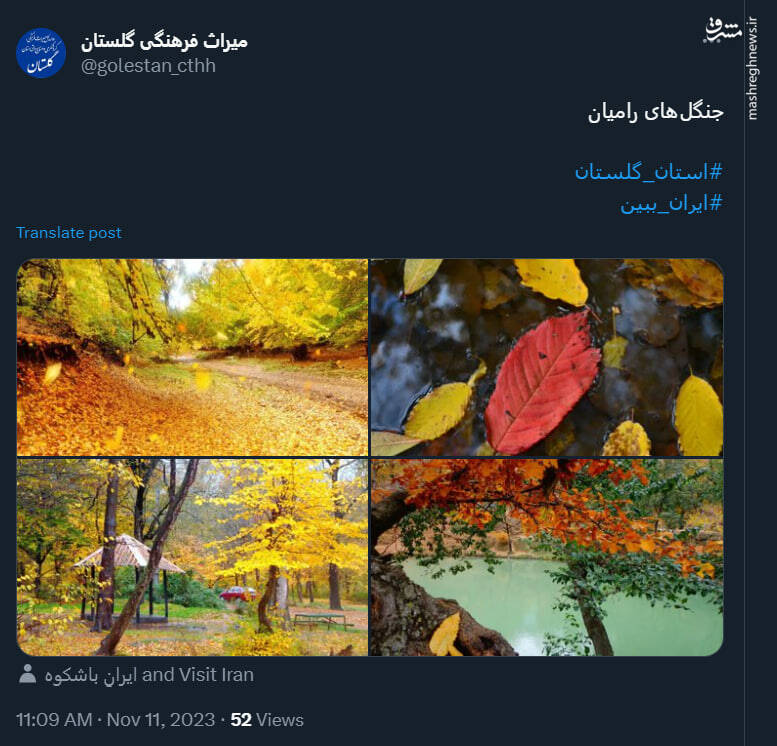 درخشش برگهای طلایی پاییزه در جنگلهای رامیان