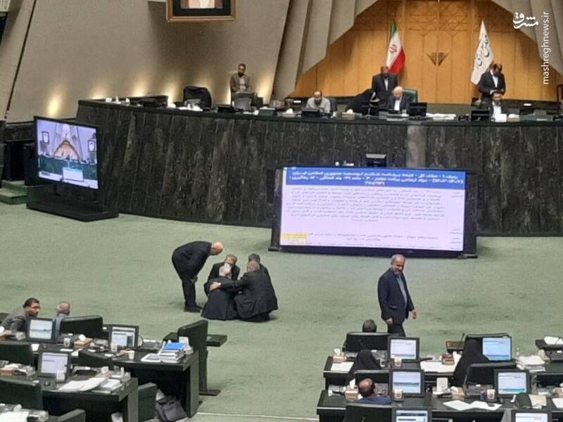 نادران در صحن مجلس تحصن کرد+ عکس