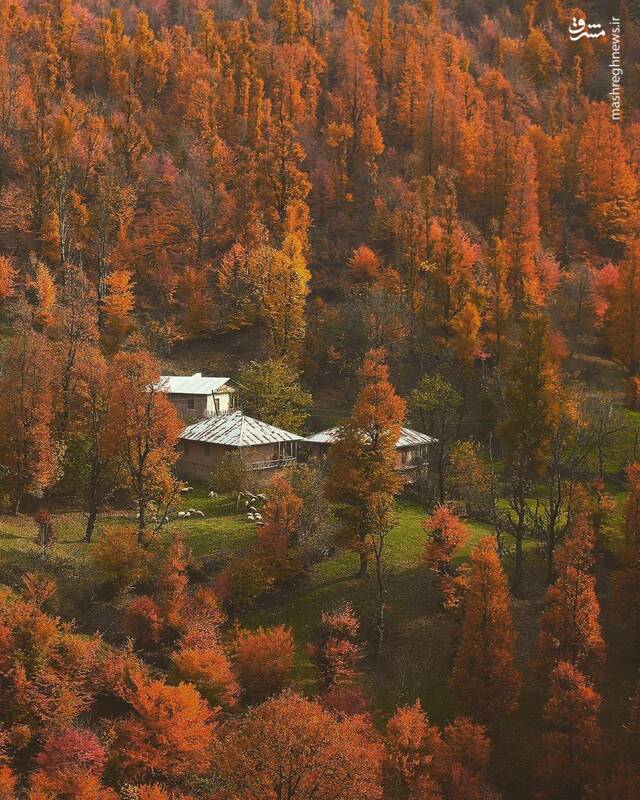 پاییز گیلان روستای پلنگ دره