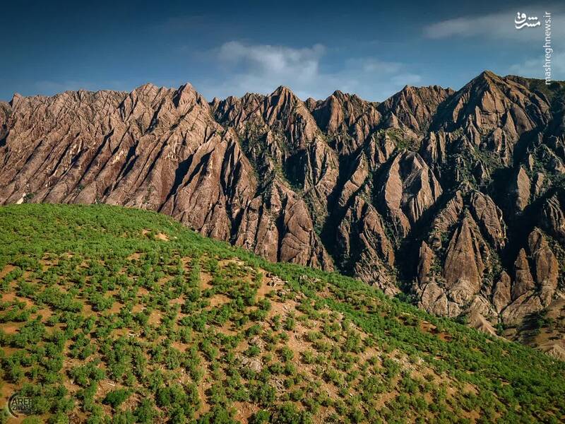 قابهای تماشایی از طبیعت زیبای شهرستان دلفان
