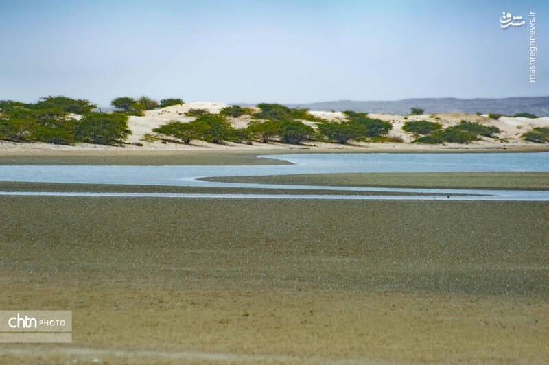 بندر تَنگ؛ جاذبهای برای همه فصول