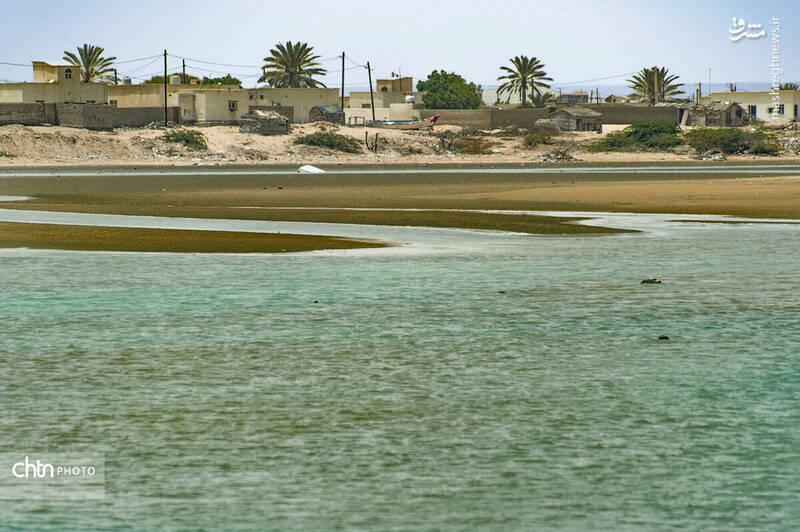 بندر تَنگ؛ جاذبهای برای همه فصول