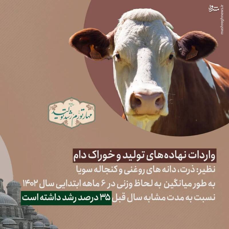 کشور به سمت تکمیل زنجیرههای تولید در حرکت است