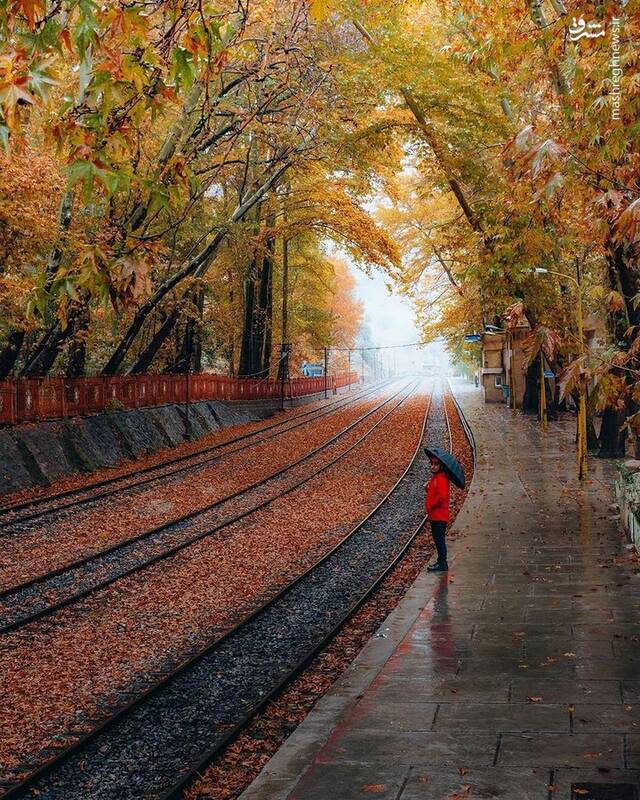 تصویری از پائیز تماشایی لرستان