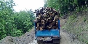 قاچاقچیان چوب مأمور منابع طبیعی شهرستان نور را زخمی کردند