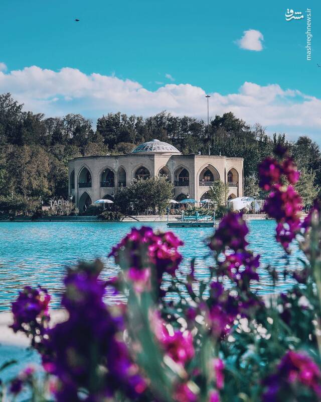 شاه گلی زیبا در تبریز