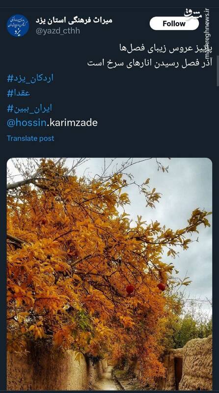 پاییز عروس زیبای فصل ها