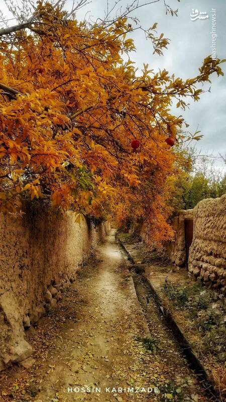 پاییز عروس زیبای فصل ها