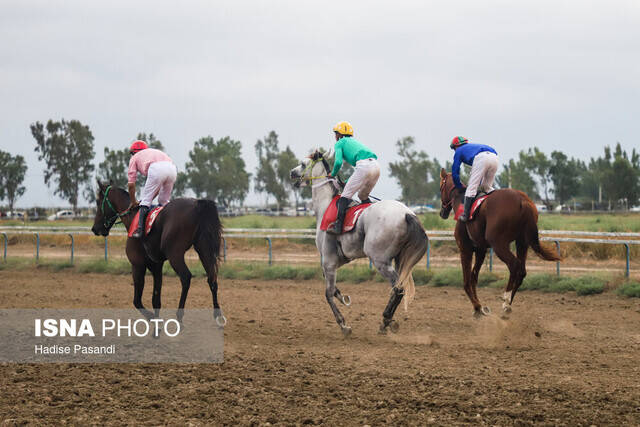 ۱۴ فدراسیون بدون رییس!/ معاونت قهرمانی چه میکند؟