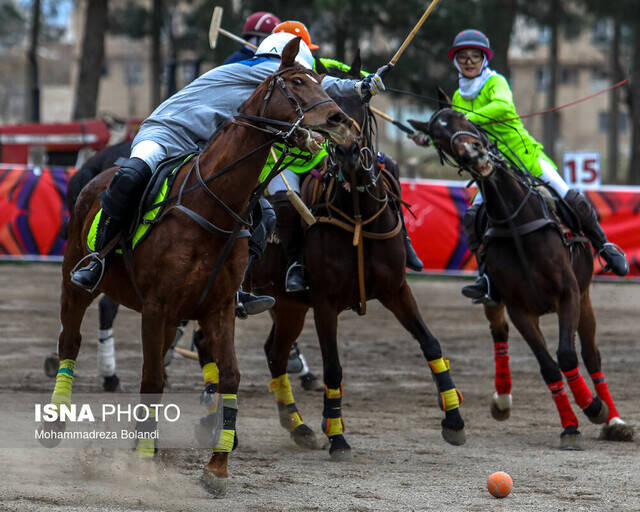 ۱۴ فدراسیون بدون رییس!/ معاونت قهرمانی چه میکند؟