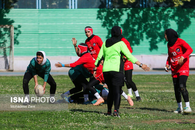 ۱۴ فدراسیون بدون رییس!/ معاونت قهرمانی چه میکند؟