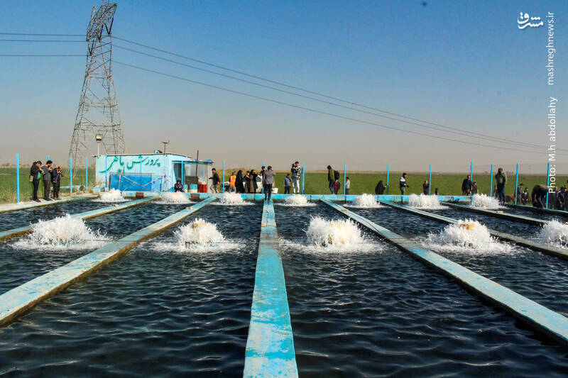 چهارمین تور نظارتی بازدید قوه قضاییه برای اهالی رسانه/ بازدید میدانی خبرنگاران ۳۰ رسانه از اقدامات دستگاه قضایی در حوزه اشتغالزایی زندانیان