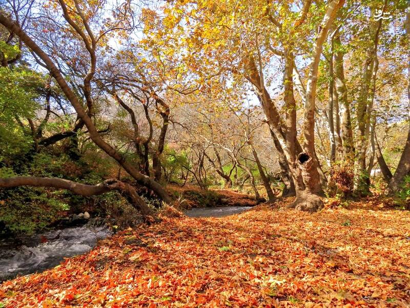 تصویری از پاییز زیبای نهاوند همدان
