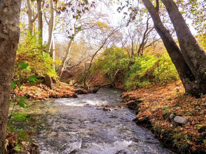 تصویری از پاییز زیبای نهاوند همدان