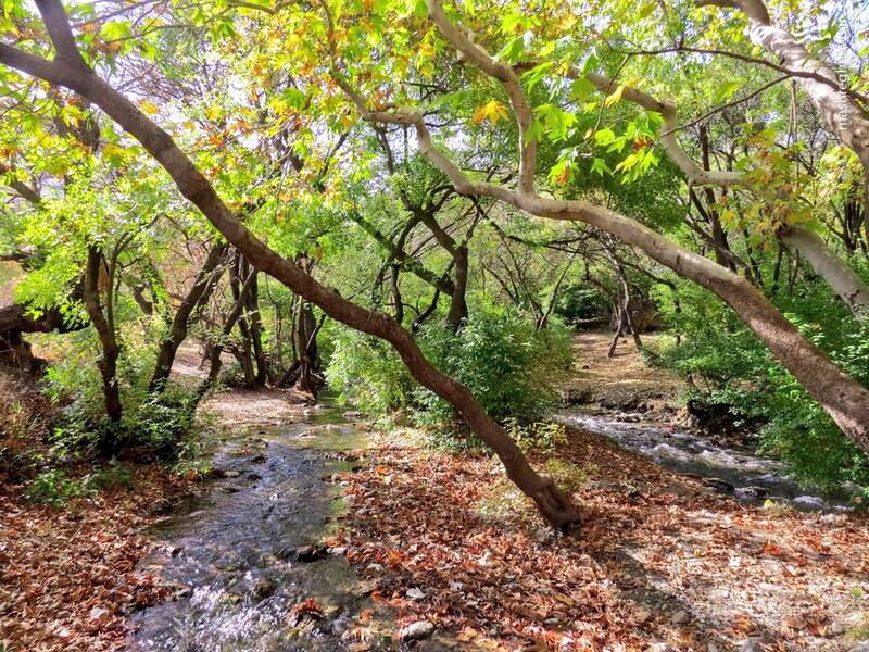 تصویری از پاییز زیبای نهاوند همدان