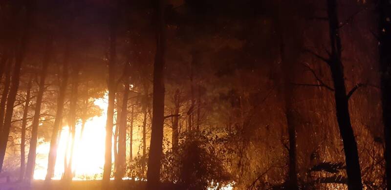 ۱۰۵ هکتار جنگل گیلان سوخت