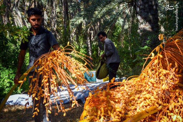 وقت شیرین افطار