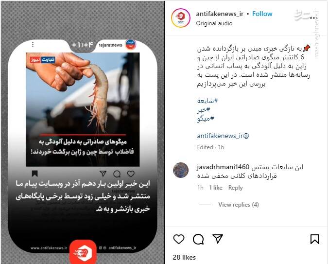 بررسی خبر دروغ برگشت میگوهای آلوده ایران از چین