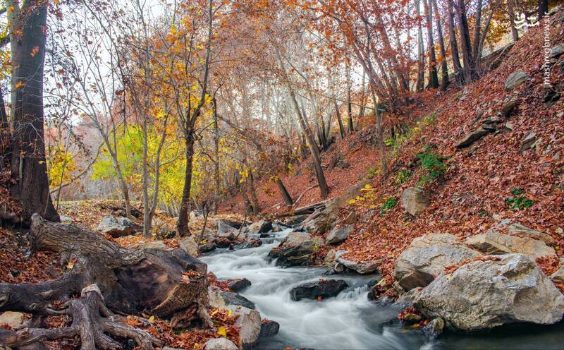پاییز زیبای کرمانشاه میزبان گردشگران 4