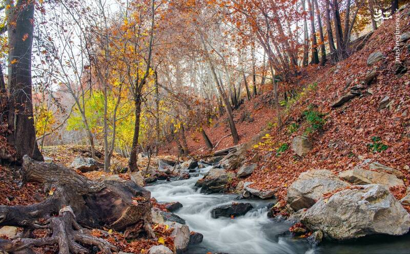 پاییز زیبای کرمانشاه میزبان گردشگران