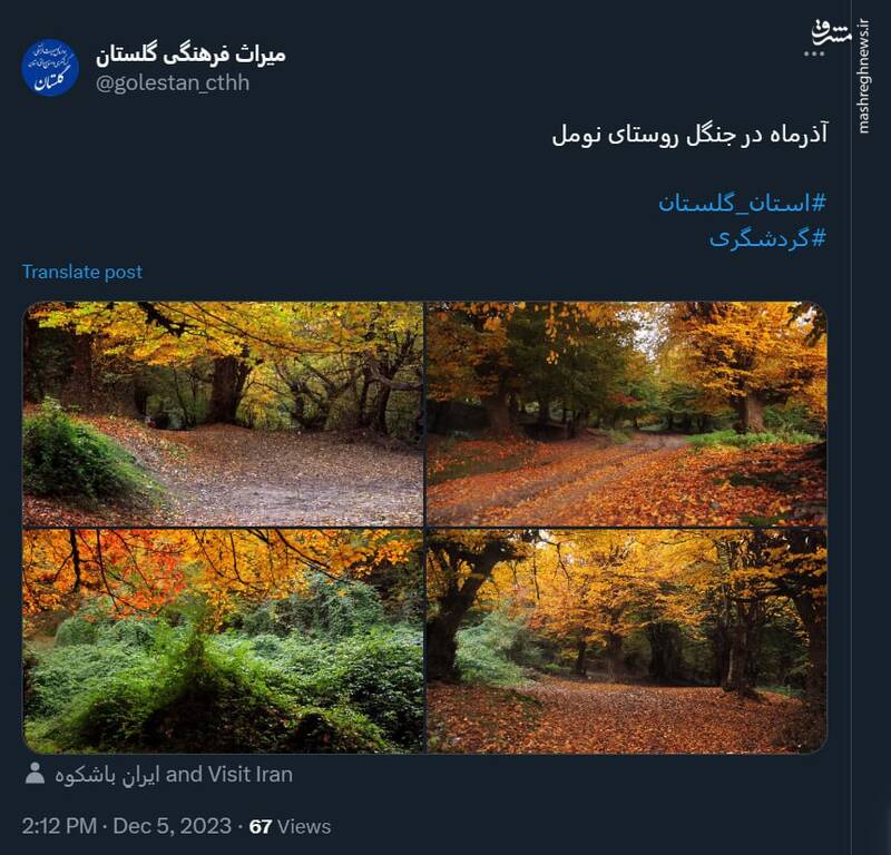 پاییز افسونگر در جنگل روستای نومل گلستان