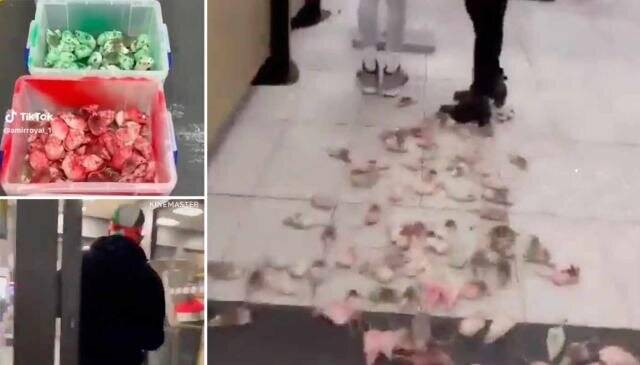 نذر همبرگر مقابل شعبههای مکدونالد!