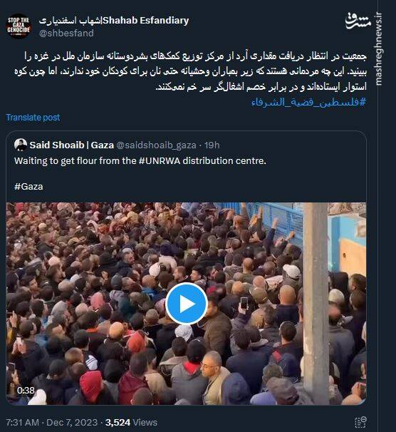 مردم غزه از چه جنس مردمانی هستند؟