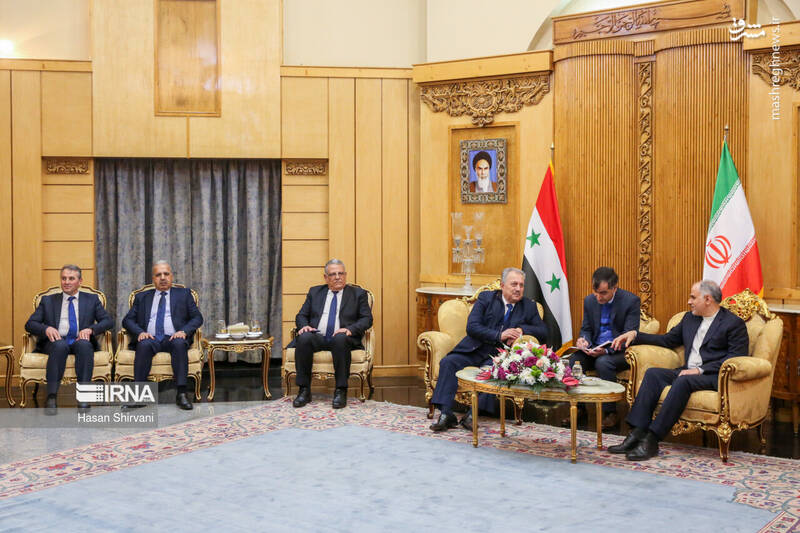 عکس / ورود نخست وزیر سوریه به تهران 12