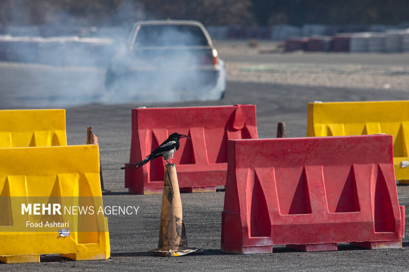 مسابقات کار پارک دریفت در دو کلاس مبتدی و حرفهای صبح روز جمعه ۱۷ آذر ۱۴۰۲ در پیست اتومبیلرانی آزادی برگزار شد.