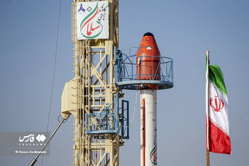 کاوشگر زیستی سلمان چه ویژگیهایی دارد؟