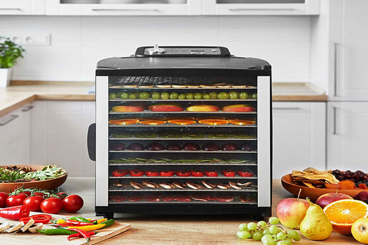 بهترین برند میوه خشک کن صنعتی؟