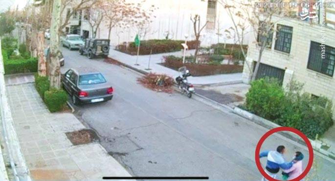 من گرگ هستم +عکس