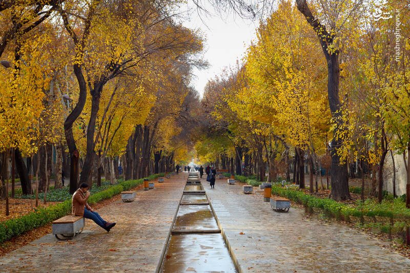 مشرق نیوز - عکس/ پاییز در قاب چهارباغ اصفهان