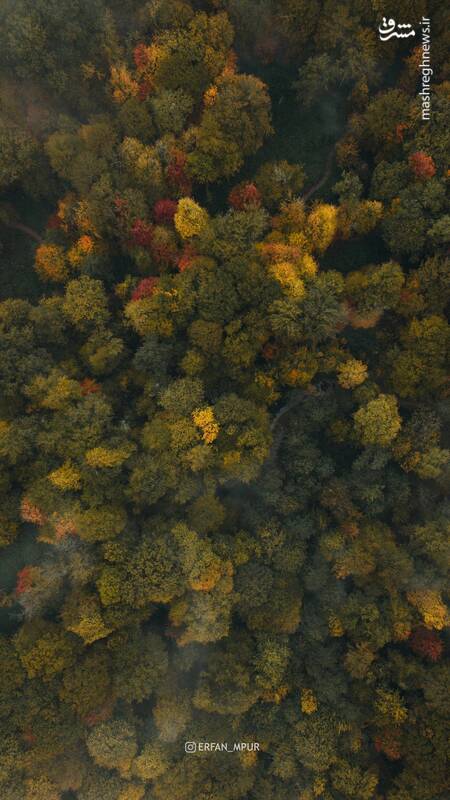 تصویری از پاییز افسانه‌ای مازندران