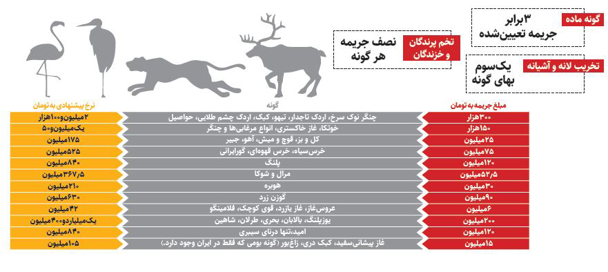 جریمه شکار یوزپلنگ: ۱/۴ میلیارد تومان