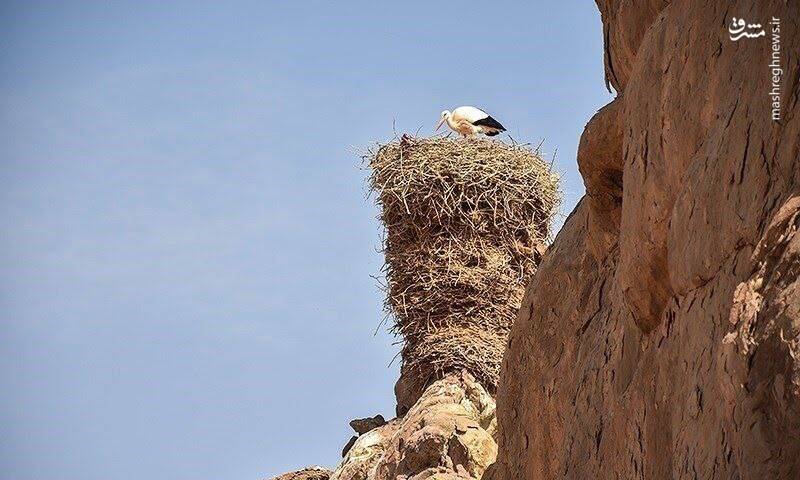 قلعه لک لک ها در روستای شکورچی زنجان 3