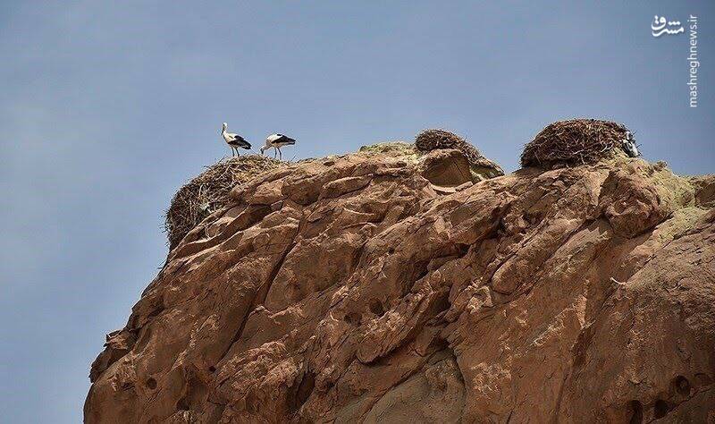 قلعه لک لک ها در روستای شکورچی زنجان 2