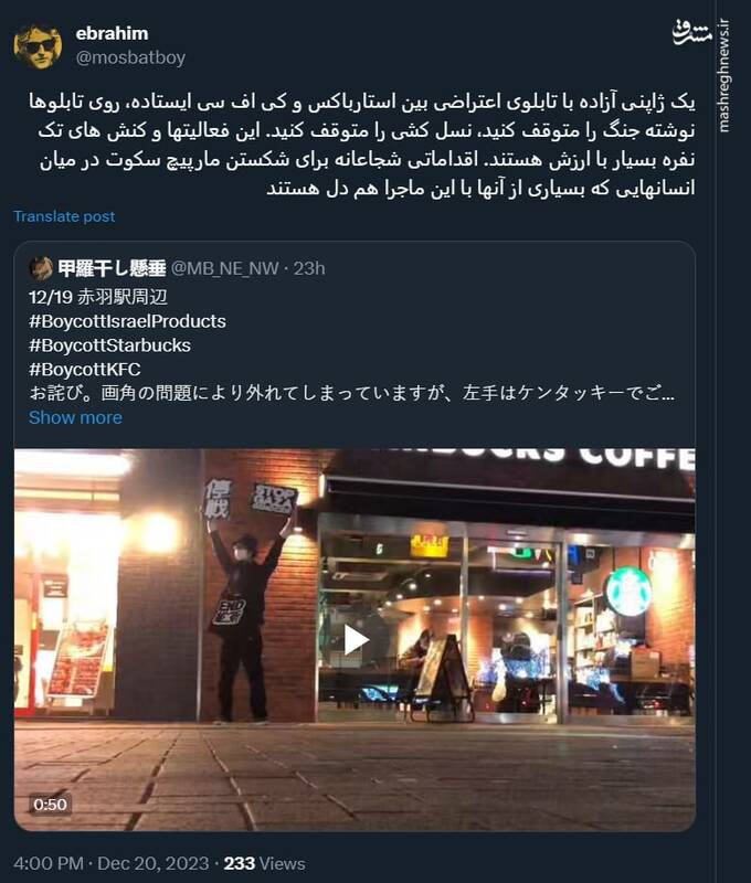 کنشگری ژاپنی آزاده +عکس