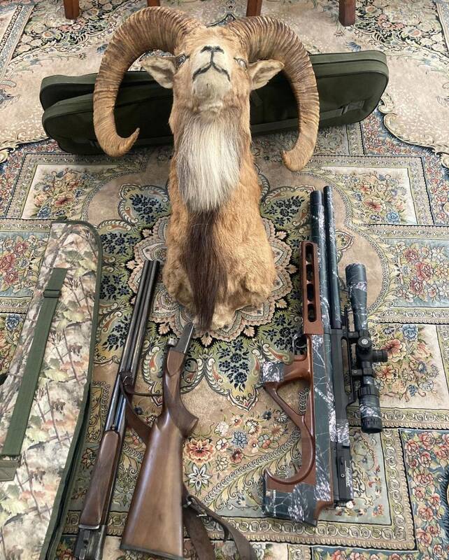 آیا افزایش جریمه شکار، باعث بازدارندگی میشود؟