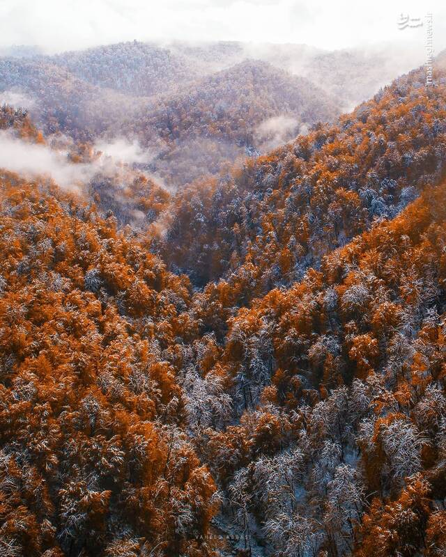 جلوهنمایی طبیعت در عباس آباد مازندران