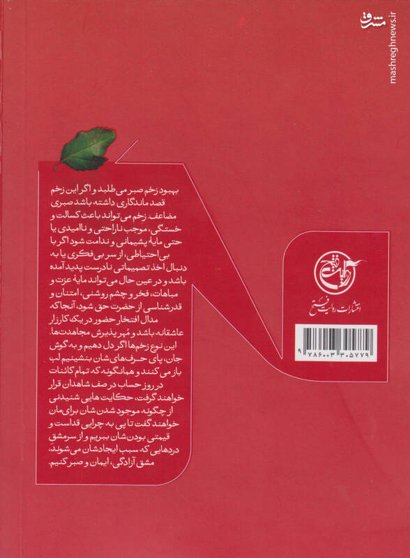 وضعیت جانبازی که حاج قاسم را ندیده است! 4