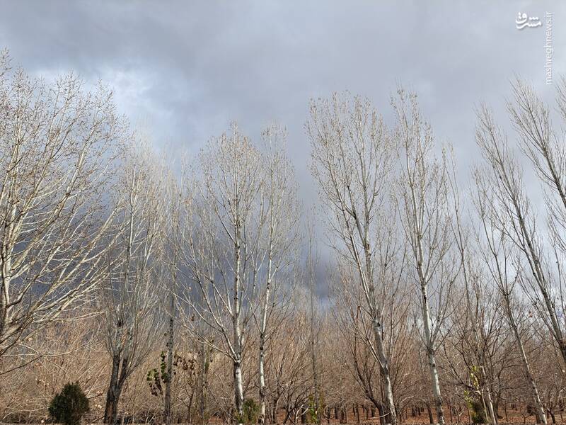 زنجان در دی ماه 3