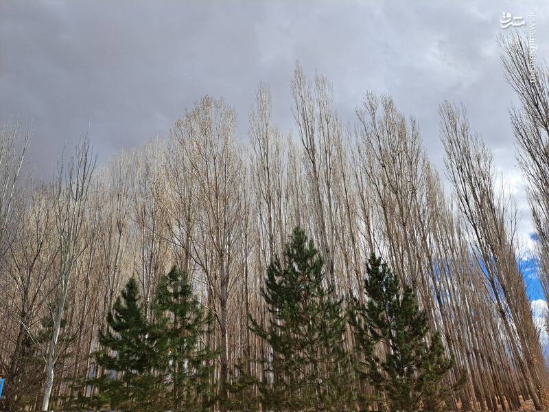 زنجان در دی ماه 4